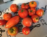 Une image de l'étape 2 de Salade de tomates et concombres au thon sauce algues et ciboulette.