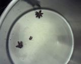 茄子肉末打滷麵的食譜步驟2照片
