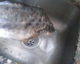 Foto del paso 3 de la receta: Bagre de Río despinado a la plancha