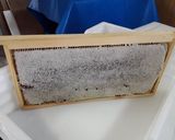 Foto del paso 3 de la receta Frisuelos con miel