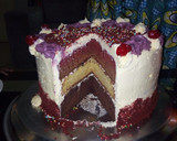 A picture of step 3 of How to decorate cake with butter cream frosting.