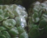 Foto langkah ke 11 dari resep Kerupuk nasi sisa modifikasi dengan tepung hunkwe dan tapioka.