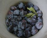 Foto del paso 1 de la receta: Compota de ciruelas