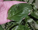 Foto del paso 2 de la receta: Pesto Casero para guardar