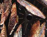Foto langkah ke 1 dari resep Ikan Tongkol Dabu².