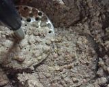 Foto del paso 2 de la receta: Croquetas de lenteja y trigo!
