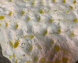 Foto del paso 4 de la receta Focaccia rellena o schiacciata casera