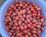 Hình bước làm 1 của món Nhót ngâm đường