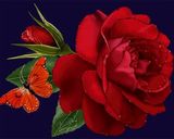 صورة لخطوة 13 من وصفة اجمل اصدقاء 😘😘😉😉😘