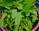 Foto langkah ke 1 dari resep Tumis Kangkung.