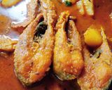 চিতল মাছের তেল ঝাল (chitol macher tel jhal recipe in bengali) রেসিপির ধাপ 5 ছবি