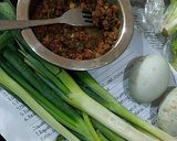 Foto langkah ke 1 dari resep Martabak Telur Kari (868).