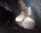 A picture of step 2 of Pounded yam with stew.