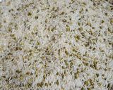 A picture of step 1 of Moong Daal khichri.