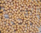 A picture of step 2 of Chana masala spicy.