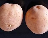 A picture of step 2 of Peri Peri Fries.
