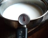 Foto del paso 1 de la receta: Yogurt casero sin yogurtera - en termo