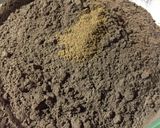 Foto del paso 6 de la receta: Frapeé de chocolate, canela y vodka
