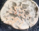 A picture of step 5 of Bajra Roti.