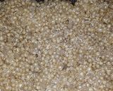 Foto del paso 2 de la receta: Guiso express