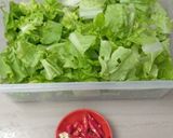 Foto langkah ke 1 dari resep Tumis sawi keriting simple enak.