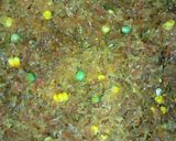 A picture of step 3 of Simple fried rice and.