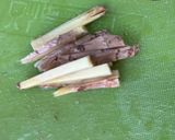 塔香蛤蜊（清淡版）的食譜步驟1照片