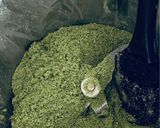 Foto del passaggio 5 della ricetta Sale aromatizzato al basilico