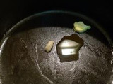 Scallop with Onion Glaze