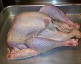 Foto langkah ke 1 dari resep Roast Turkey (Kalkun Panggang).