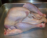 Foto langkah ke 1 dari resep Roast Turkey (Kalkun Panggang).