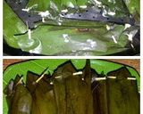 Foto langkah ke 3 dari resep OTAK-OTAK BIHUN JAGUNG SUPERIOR.