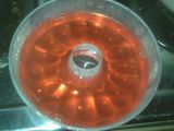 Red Jelly