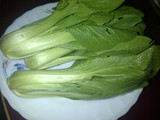 Pok coy saus tiram
