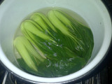 Pok coy saus tiram