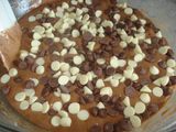 Double Chocolate Chips
