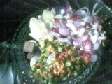 Tumis Terong Bola