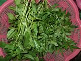 Salad Jawa Bumbu Kelapa