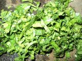 Salad Jawa Bumbu Kelapa
