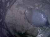 TUMIS BOLA AYAM