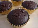 Chocolate Muffin