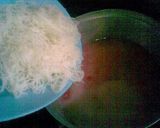 Foto langkah ke 3 dari resep PUDING BIHUN.