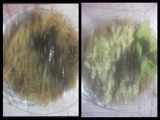 Bihun superior spesial Pedas tabur keju