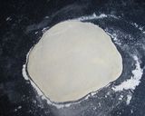 Foto langkah ke 3 dari resep Gyoza Filling Ayam.