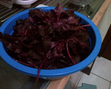 Foto langkah ke 1 dari resep Tumis Bayam Merah.