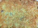 Macaroni Schotel ala Dee