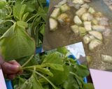 Foto langkah ke 1 dari resep sayur bayam gambas.