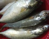 Foto langkah ke 1 dari resep Nuget Kembung Bandeng Bayam.