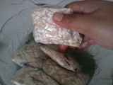 Tempe Goreng Terdesak