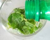 Foto langkah ke 1 dari resep MINT ICE SODA.